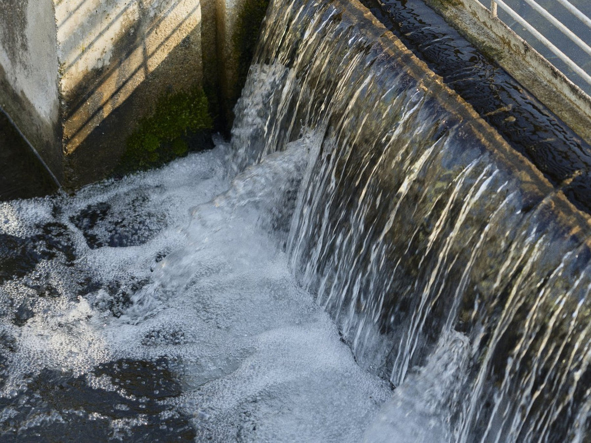 Spring water flowing into the sturgeon pools