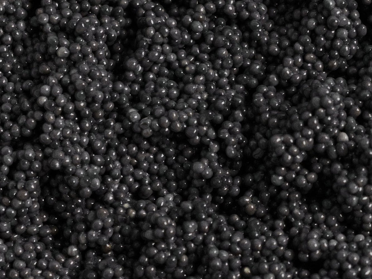 Close-up of fresh sturgeon caviar